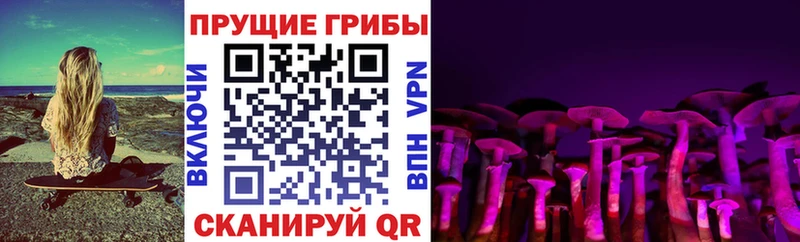 Псилоцибиновые грибы мицелий  Певек 
